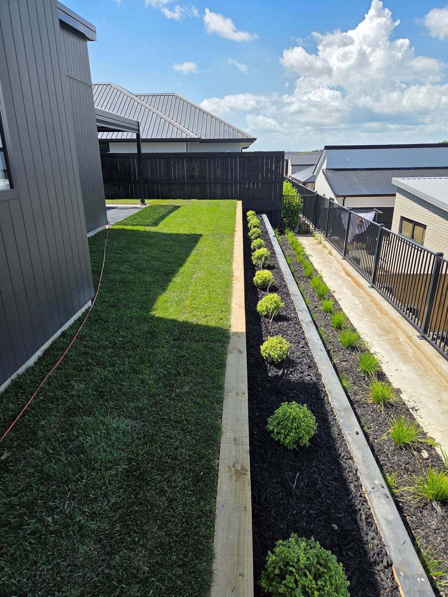 Established hydroseeded lawn several weeks on