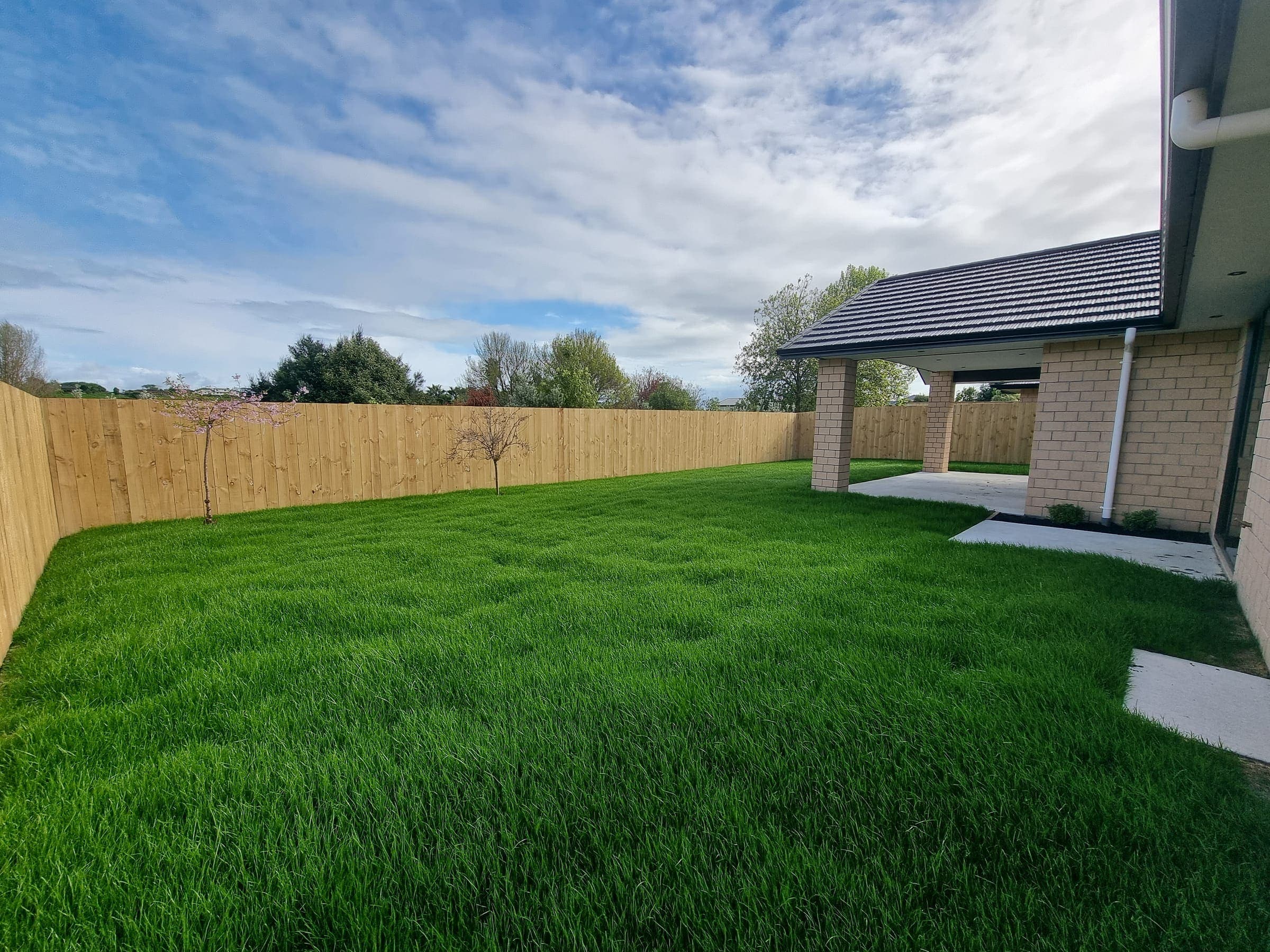 Established backyard lawn framed by a new timber fence
