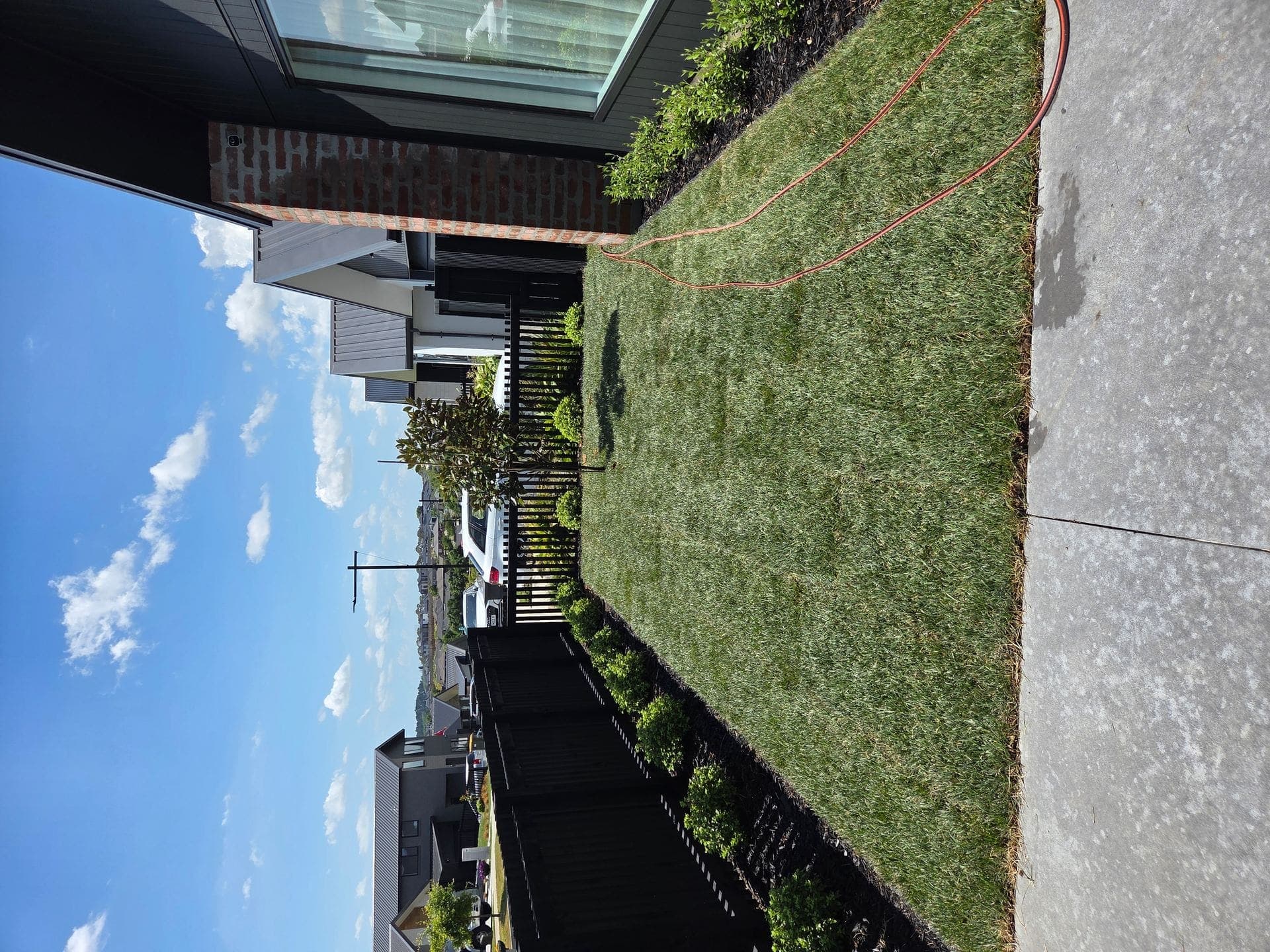 Watering an established hydroseeded lawn near a patio in Glenview, Hamilton