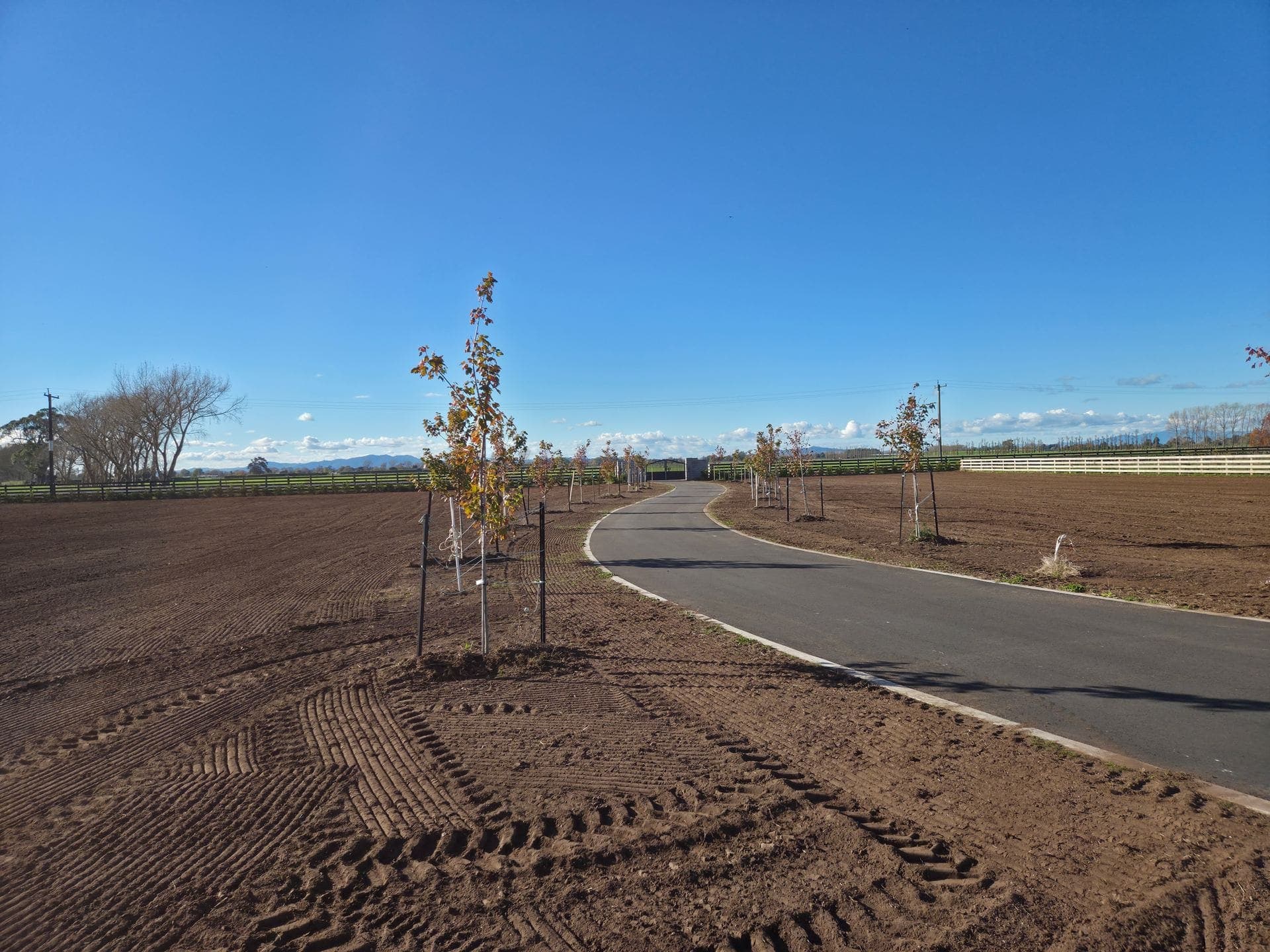 The finished driveway and tree-lined entrance on the Gordonton lifestyle block, after dimple seeding