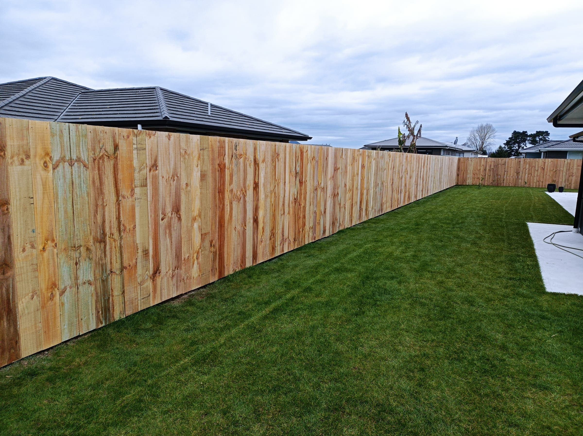 Timber paling fence enclosing a new lawn